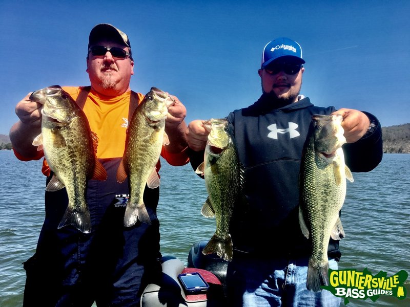 Erlebe den großen Aufschlag mit dem Pragmatic Spiel Big Bass Splash